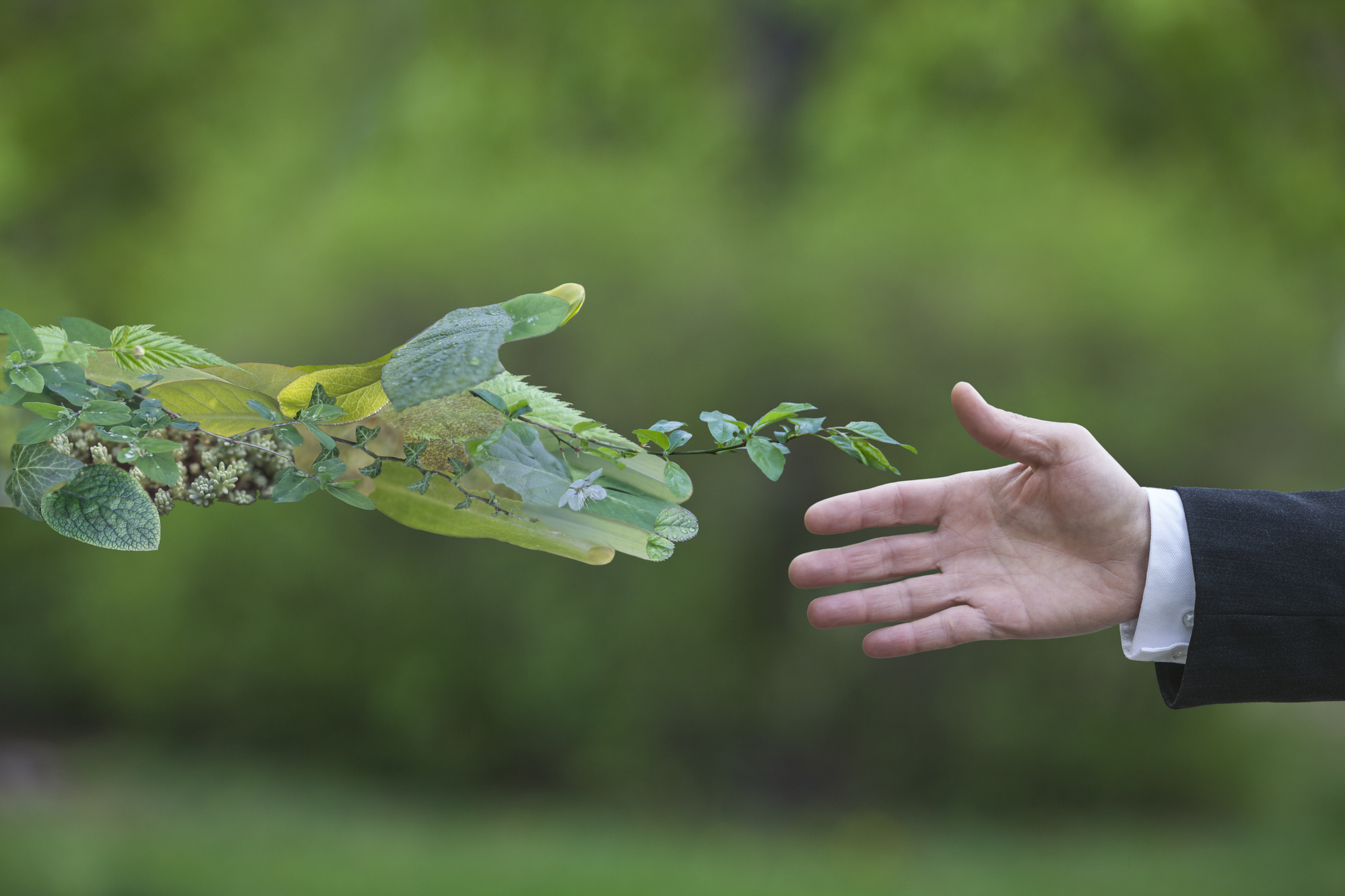 Curso EaD Gratuito: Auditoria e Perícia Ambiental