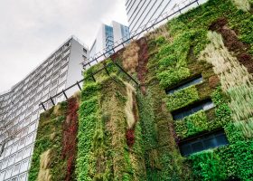 sustentabilidade na arquitetura