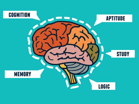 cognição, aptidão, memória, lógica, inteligência.  
