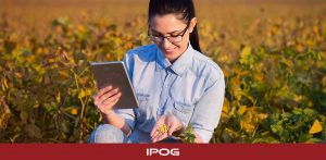 Especialização em agronegócio: conheça o MBA em Gestão do Agronegócio do IPOG