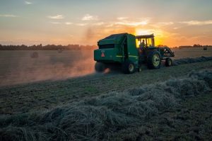 Especialização em agronegócio: conheça o MBA em gestão do agronegócio do IPOG