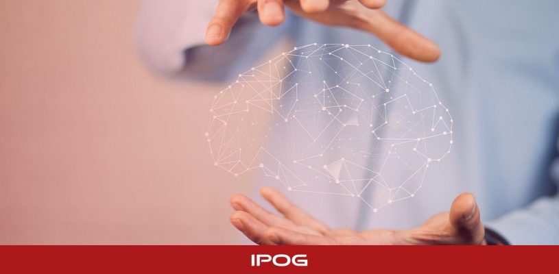3 formas de integrar a neurociência cognitiva no treinamento de equipes