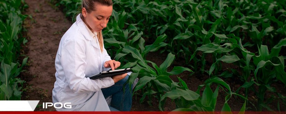 Tecnologia no agronegócio: tendências que levam assertividade para o setor agrícola