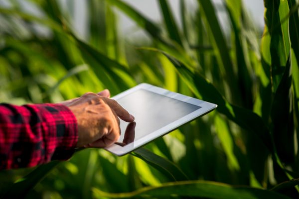 Inovações Sustentáveis no Agronegócio: O Futuro da Agricultura