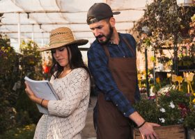 MBA em Gestão do Agronegócio: Conectando Agricultura e Gestão